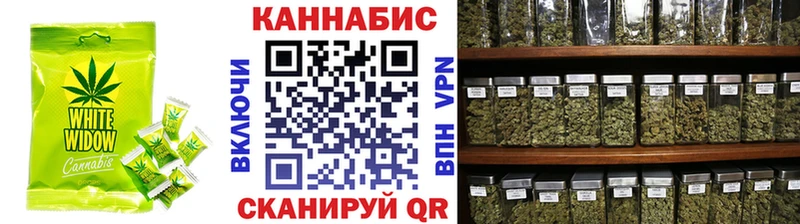 Купить закладки  Ачхой-Мартан  Печенье с ТГК марихуана 