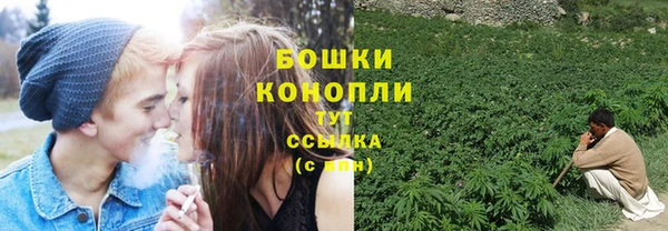 метадон Каменка