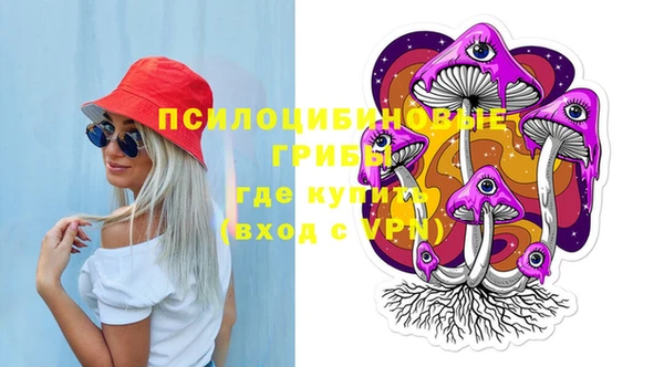 метадон Каменка