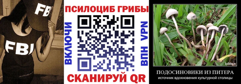 Купить где  Ачхой-Мартан  Галлюциногенные грибы мухоморы 